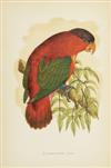 (BIRDS.) Greene, W. T. Parrots in Captivity.